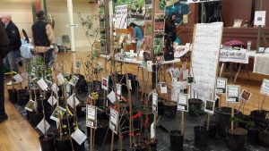 Sooke Seedy Saturday is on Saturday Feb 25 this year (photo from 2016, by West Shore Voice News)