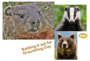 WSV-GroundhogDay2017