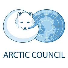 arctic council