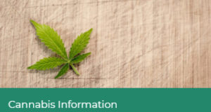 SD62: Cannabis in schools (west shore) cannabis, sd62