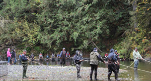 BC salmon strategy open for public discussion salmon enhancement, sooke river