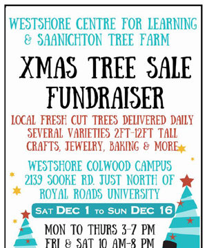 Xmas trees contribute to summer garden xmas trees, fundraiser, SD62
