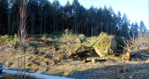 Environmental & safety considerations during SD62 land preparation