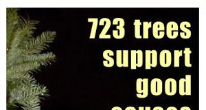 723 trees produce great results xmas tree sale, sd62