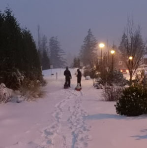 snow day, sledding, Langford, snowfall