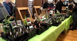 10th Annual Sooke Seedy Saturday draws a crowd Sooke Seedy Saturday, plants