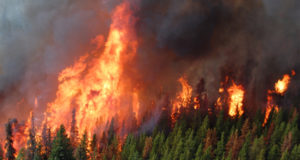 Campfire ban in effect beginning this week BC wildfire
