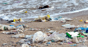 New BC special advisor on marine debris protection plastic debris on beach