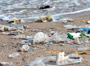 plastic debris on beach