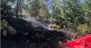 Wildfire in Sooke residential area likely caused by tossed butt Sooke Fire Dept, wildfire, June 2019