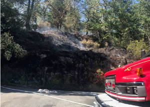Sooke Fire Dept, wildfire, June 2019