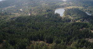 Teen dies at Camp Barnard in Otter Point Camp Barnard, Young Lake, Otter Point, fatality, SD61