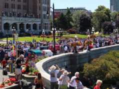 Huge turnout for Northwest Deuce Days 2019 at Inner Harbour Northwest Deuce Days, Victoria, Inner Harbour, tourism