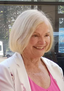 Susan Brice, Victoria Regional Transit Commission