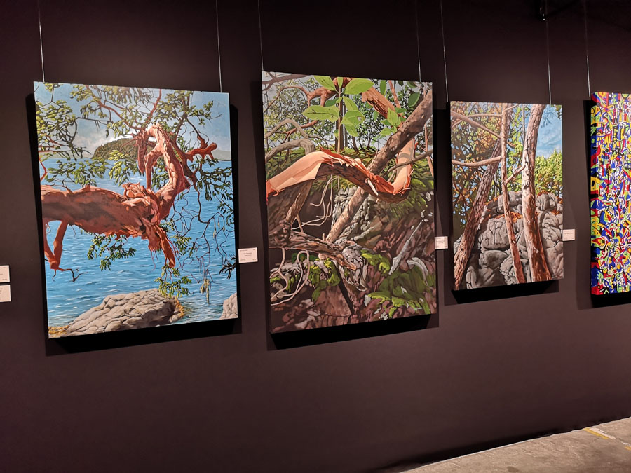 arbutus trees, artwork, Sooke Fine Arts Show