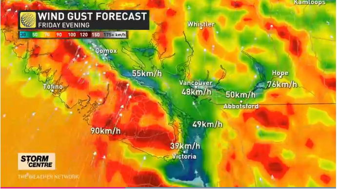 wind gust forecast, The Weather Network