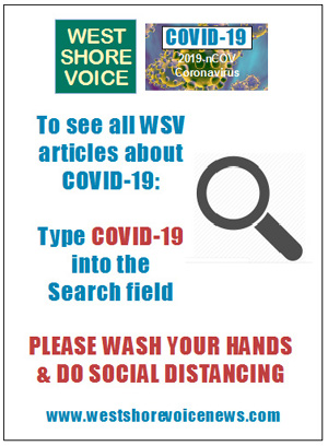 WSV, Search COVID-19