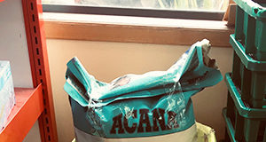 Pet food donations being made available to former street campers pet food donations, bin