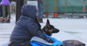 Homeless people leaving the street can take pets along homeless person, dog