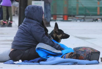 homeless person, dog