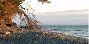 Three CRD campgrounds to re-open June 5 Jordan River Regional Park