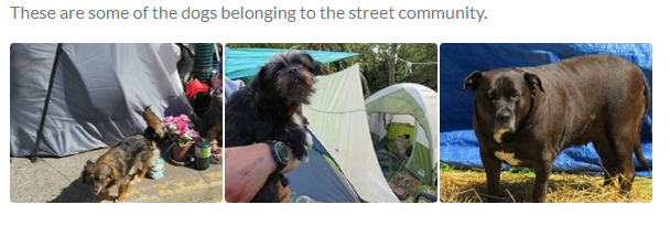 dogs, tent encampments, Victoria