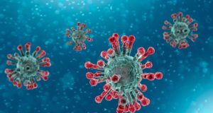 COVID-19 brings five south-island Chambers under the wing of South Island Prosperity Partnership Coronavirus, COVID-19