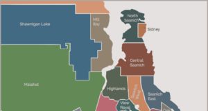 Four Victoria-area mayors to discuss COVID-economy road ahead map, greater victoria