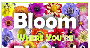 Blooming differently in 2020 Communities in Bloom