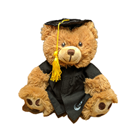 graduation, teddy bear stuffie
