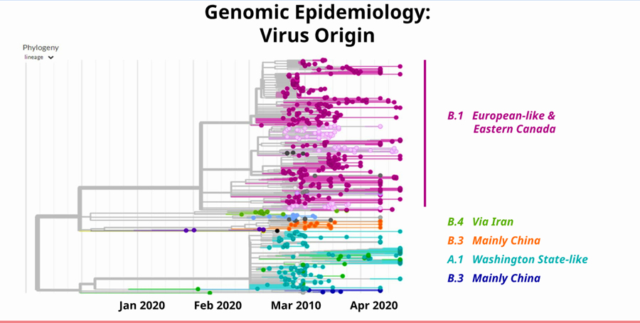 Genomic Epidemiology-Virus Origin, COVID-19