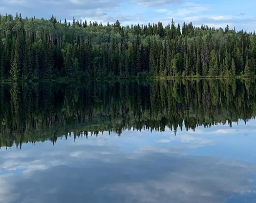 Carp Lake, BC Interior, shelaneleroux
