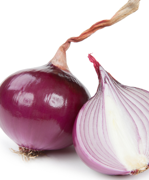 onion, salmonella