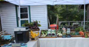 Outdoor Sooke Night Market sees good turnout during COVID Sooke Night Market, produce