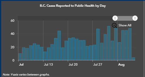 case counts, July and August 2020