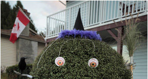 Ramping up to Halloween: the COVID mask face mask, tree, Colwood, Halloween