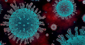 Nov 24 COVID: Trudeau accepts vaccine lagtime, BC record 941 new cases COVID, virus