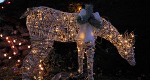 BC Hydro: holiday electronics energy consumption will be “unprecedented” outdoor christmas lighting