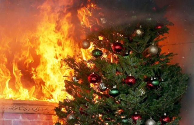 christmas tree, burn, living room