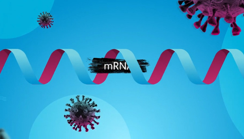 mRNA vaccine, graphic