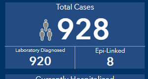 COVID-19 on Vancouver Island in 2020: year-end summary COVID, Vancouver Island, Dec 31 2020