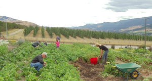 Economic recovery entwined with supporting food security farm, workers, BC