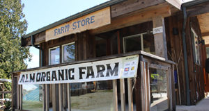 BUY LOCAL: Organic seeds & seedlings for urban gardeners farm, seeds