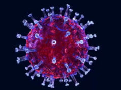 Same strategy works for protecting against COVID variants covid virus