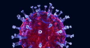 Same strategy works for protecting against COVID variants covid virus