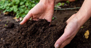 Vancouver Island MPs carry key NDP critic roles: agriculture, justice, climate change, fisheries soil, hands