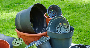 A lot of plastics can go into your blue bin flower pots, recycling
