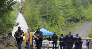 Fairy Creek protests in premier’s riding rock the boat on Vancouver Island Fairy Creek, blockade