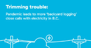Tree trimming pushes electrical incident spike during pandemic tree trimming, BC Hydro