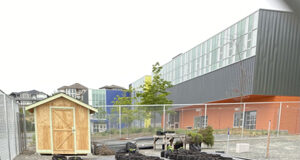 Growing food at SD62 schools includes summer work experience growing food